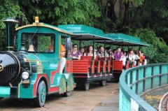 淺談景區(qū)觀光小火車(chē)的市場(chǎng)前景