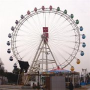 自控飛機在運行時出現緊急情況后怎么處理？